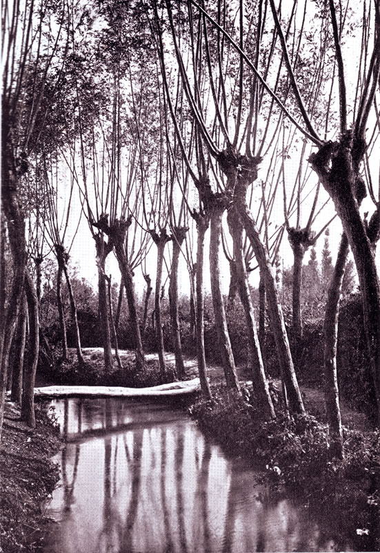 1. Arduino Colasanti, "L'Aniene", Istituto italiano d'arti grafiche, Bergamo, 1906