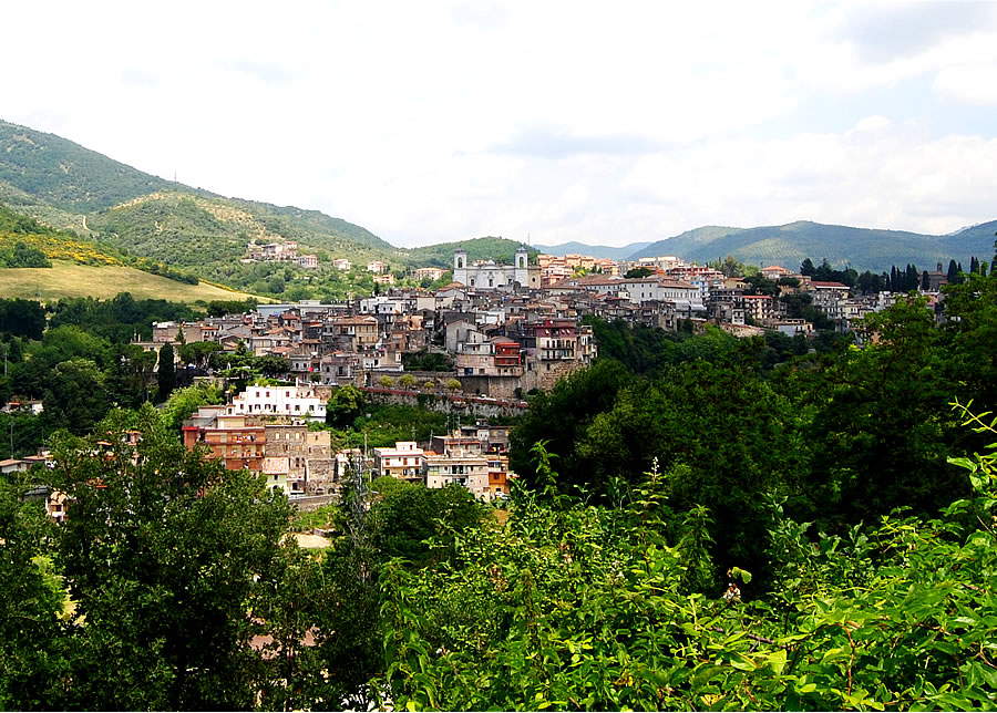 36. Vicovaro nel 2011 (Scialanca).