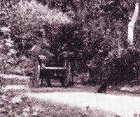 28. Particolare della foto 25: carretto e cane.