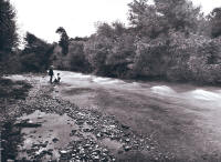 42. Dintorni di Vicovaro. L'Aniene (Gargiolli).
