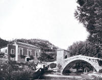81. Particolare della foto 77.