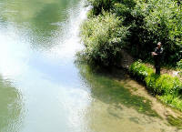 12. L'Aniene sotto Castel Madama (Scialanca).