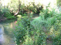 64. L'Aniene al ponte di Anticoli Corrado (Scialanca).