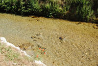 108. Subiaco, l'Aniene sotto il ponte di s. Mauro nel 2011.