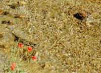 110. Subiaco, l'Aniene sotto il ponte di s. Mauro nel 2011.