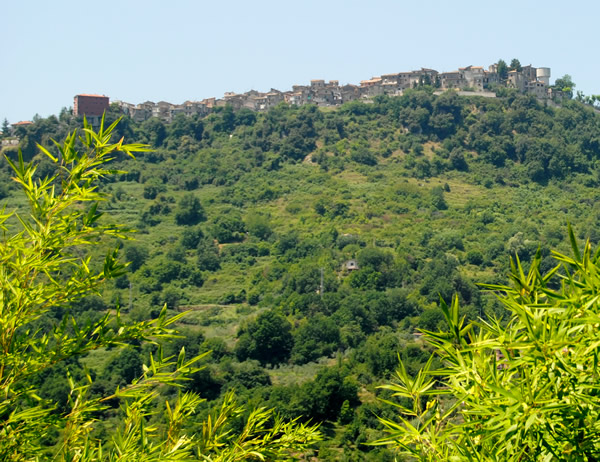 Pagina in costruzione. Sar pronta, se tutto va bene, entro il 31 dicembre 2011: torna a trovarci!