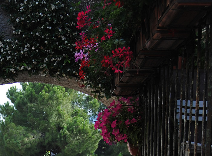 Clicca qui per fare una bellissima passeggiata (virtuale) nel centro storico di Ciciliano!