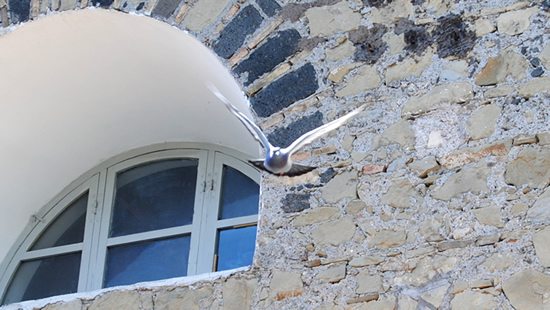 Il Tour in progress di ScuolAnticoli nella Valle dell'Aniene continua con... "Passeggiata a Gerano", centosettanta immagini una pi� bella dell'altra... cliccando qui!