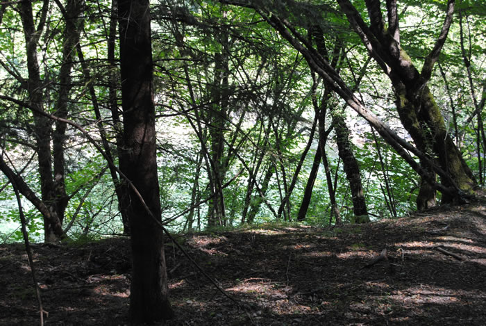 All'inizio s'intravede appena, da un sentiero nel bosco, in fondo a una conca sempre pi ripida e angusta...