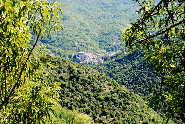Clicca qui per fare una bellissima passeggiata a Percile!