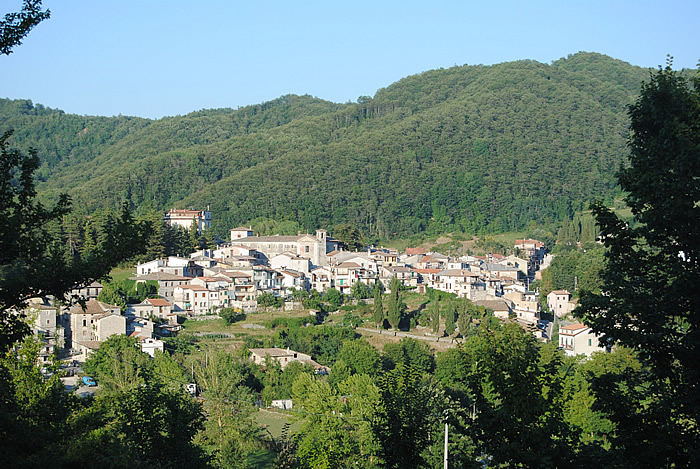 Clicca qui per fare una bellissima (anche se virtuale) Passeggiata a Nespolo!