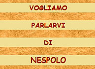 Vogliamo parlarvi di Nespolo