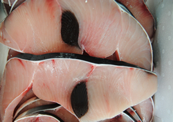 Una buonissima bistecchina di pesce spada a Olevano Romano? Solo da Fernando, il Mare della Valle dellAniene: clicca qui per una visita virtuale!