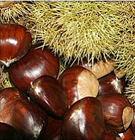 Le Castagne di Ricetto