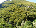 2.