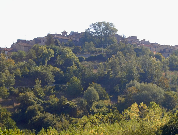 Clicca qui per fare una bellissima passeggiata a Villa Romana!