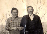 3b. Ingrandimento della foto 3.