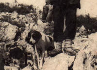 17c. Ingrandimento della foto 17.