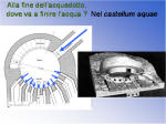 19. Il "castellum aquae".