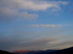 gi. 21-1-2010