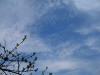 gi. 25-3-2010