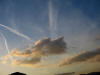 do. 28-3-2010