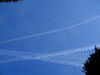 lu. 29-3-2010
