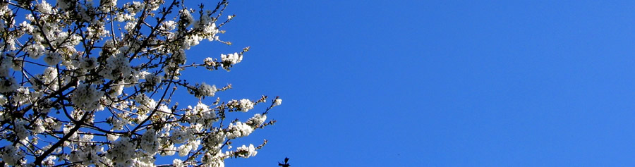 venerd 2 aprile 2010