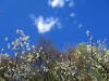 sa. 3-4-2010
