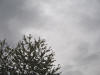 lu. 12-4-2010