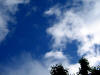 gi. 6-5-2010