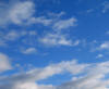 gi. 25-11-2010