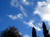 gi. 9-12-2010