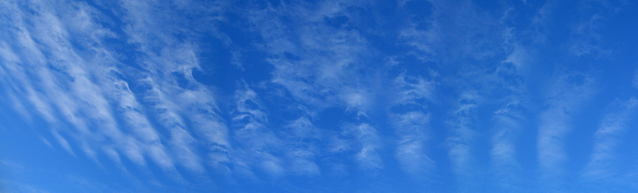marted 14 dicembre 2010