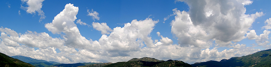 venerd 29 luglio 2011