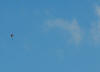 ve. 5-8-2011