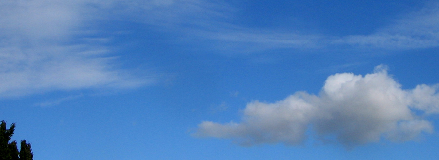 gioved 24 novembre 2011