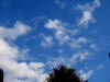 gi. 1-12-2011