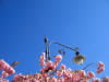 ma. 10-4-2012