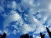 gi. 15-11-2012