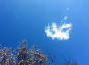 gi. 21-3-2013