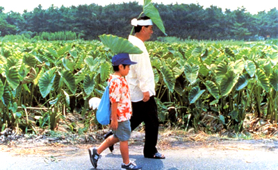 (Le schede di "Spiegare un film a un bambino" sono per bambini e ragazzi di Quinta elementare, Prima, Seconda e Terza media. Sono scritte, perci, il pi semplicemente possibile. Ma non sono affatto semplicistiche. Vuoi servirtene? Fai pure. Ma non spezzettarle, non alterarle e... non dimenticare di citarne l'autore!)