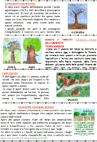 In questa pagina, la seconda parte di "Dagli alberi... la vita, una lezione speciale", a cura dei bambini della Quinta Elementare e delle insegnanti Stefania Pulcini e Ornella Pili.
