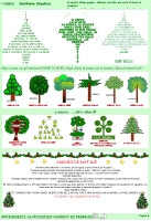 In questa pagina, i bellissimi lavori de "LAlbero - Scrittura creativa", a cura dei bambini della Quinta Elementare e della Maestra Cristina.