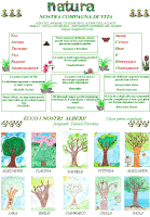 In questa pagina, "Natura, nostra compagna di vita" e "Ecco i nostri Alberi", a cura della Prima media guidata dalle prof.se Giuseppina Del Grande e Daniela Faccenna.