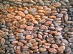 62. Il muro di cioccolata.