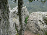169. (Foto di Jacopo).
