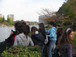 37. Litigando con gli studenti romani da una parte allaltra del laghetto dellEur alle tre del pomeriggio.