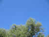 lu. 5-6-2006