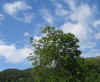 ma. 6-6-2006 - 9:00